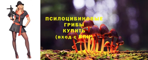 а пвп мука Верхний Тагил