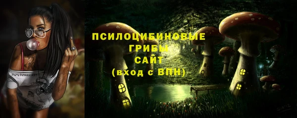 соль курить ск Верея